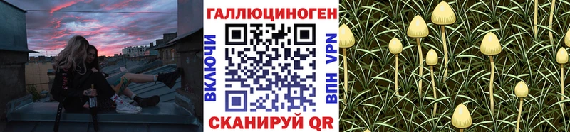 Псилоцибиновые грибы прущие грибы  купить  сайты  Судогда 